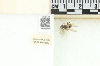 Media type: image;   Entomology 769495 Aspect: Labels